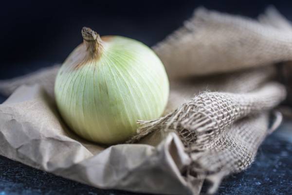 فواید پیاز برای دوران قاعدگی فواید و خواص پیاز