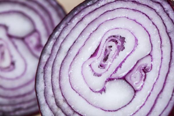 درمان نیش حشره با پیاز پیاز برای درمان نیش حشره