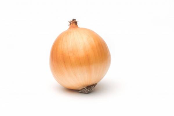 خواص پیاز برای موی سفید خواص پیاز