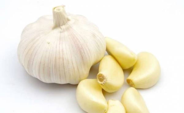 سیر برای درمان گرفتگی بینی درمان گرفتگی بینی با سیر