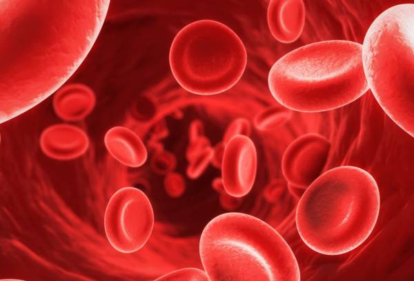 انار برای جلوگیری از کم خونی جلوگیری از کم خونی