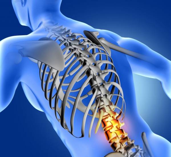 تقویت استخوان با سیب زمینی سیب زمینی برای تقویت استخوان