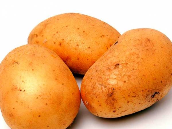 فواید سیب زمینی برای پوست فواید سیب زمینی چیست