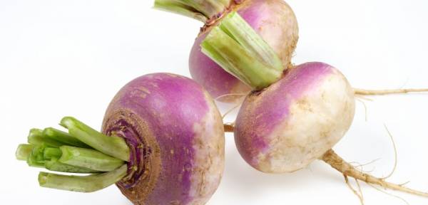 شلغم برای سرفه و فواید شلغم در بارداری 