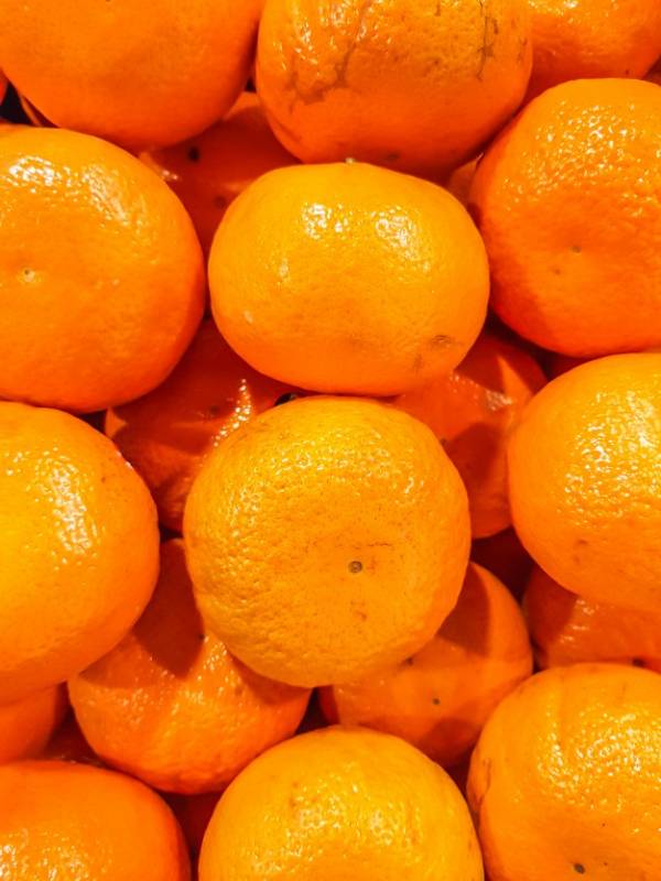 خواص میوه و پوست نارنگی برای درمان 100 نوع بیماری 1