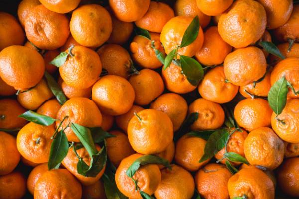 خواص میوه و پوست نارنگی برای درمان 100 نوع بیماری 1