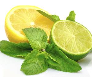 لیمو لاغری ، چطور سریع لاغر شویم