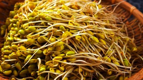 خوردن جوانه گندم 