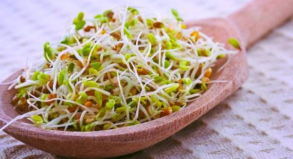 خاصیت جوانه گندم 