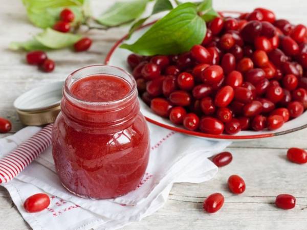 آب زغال اخته و سلامتی 