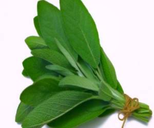 گیاه مرموک