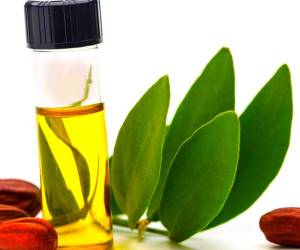 روغن جوجوبا