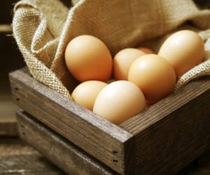 تولید تخم مرغ ، تولید کننده های تخم مرغ