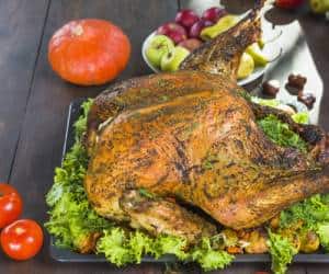 خواص گوشت بوقلمون