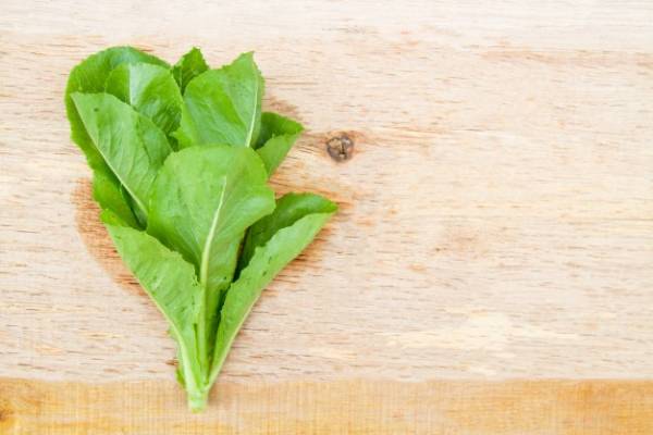 خوردن کاهو در دوران بارداری 