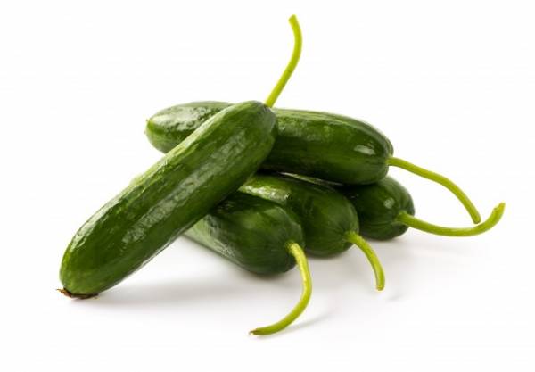 خیار برای لاغری