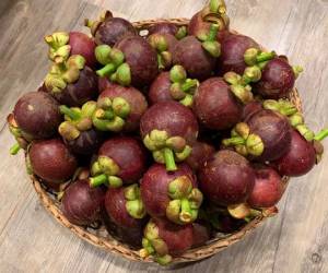 خواص منگوستین