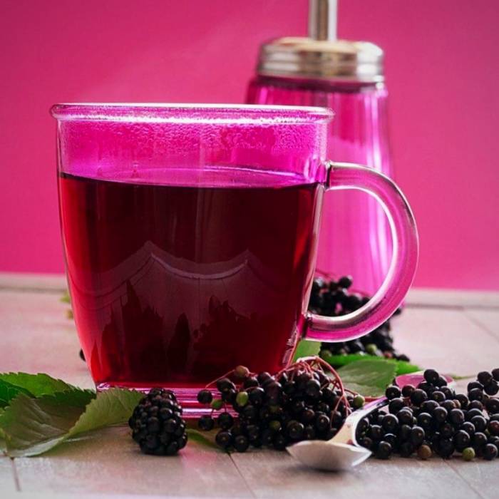 دمنوش بلک بری برای مشکلات گوارشی دمنوش بلک بری