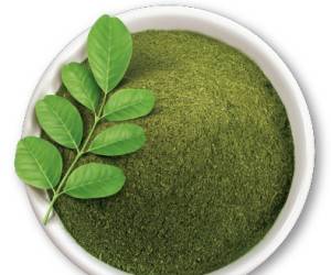 خواص گیاه مورینگا