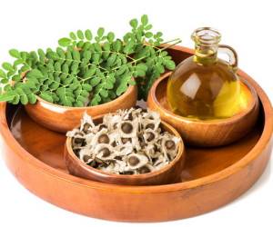 روغن مورینگا