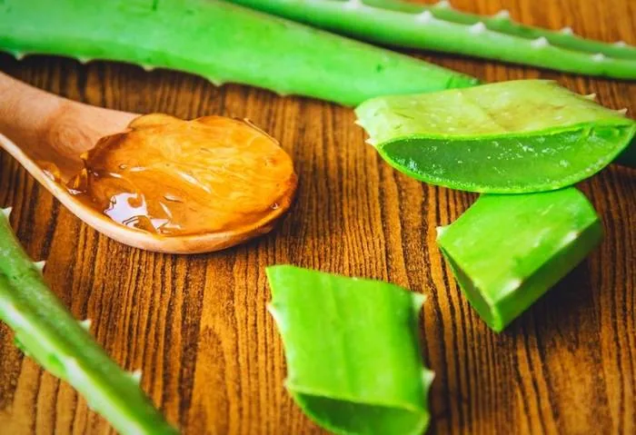 آلوئه ورا برای مراقبت از پوست زیر بغل استفاده از آلوئه ورا
