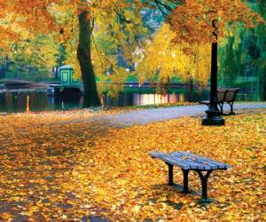 اس ام اس پاییز