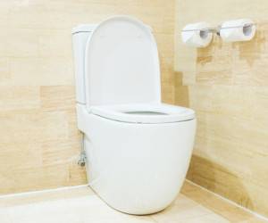 روز جهانی توالت
