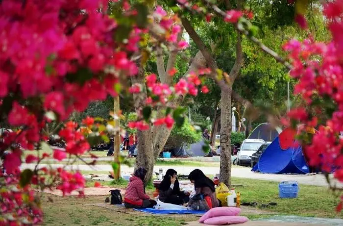 اس ام اس سیزده بدر متن کوتاه سیزده بدر