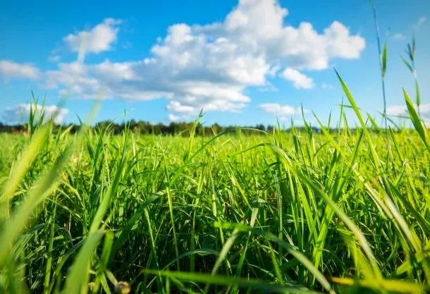 خرافات عجیب کشورها و باورهای خرافی جهان باورهای غلط
