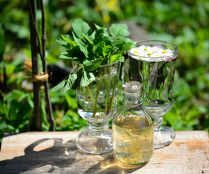 خواص عرق کاسنی