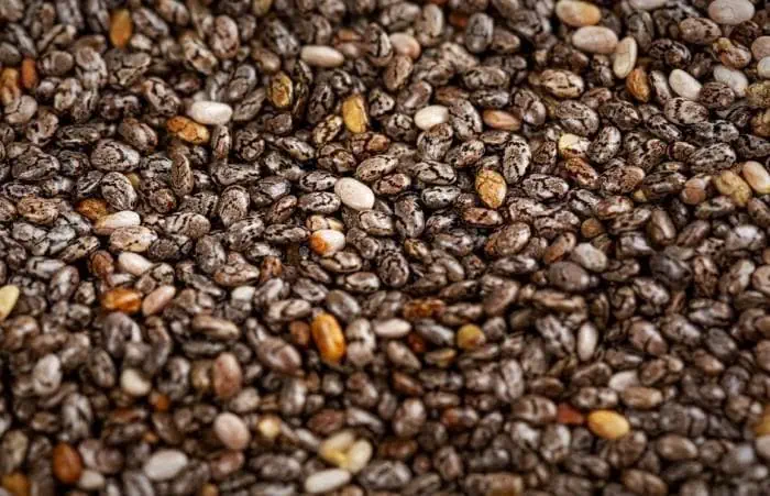 پروتئین موجود در دانه چیا فواید دانه چیا