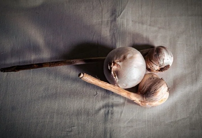 از بین بردن بوی زهم گوشت بوی زهم گوشت