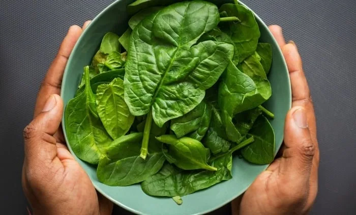 اسفناج برای لعاب قورمه سبزی اسفناج