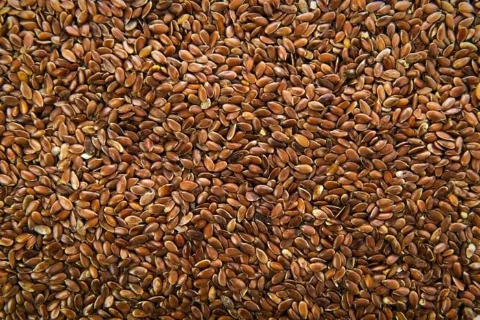 ویتامین های موجود در بذر کتان خاصیت تخم کتان