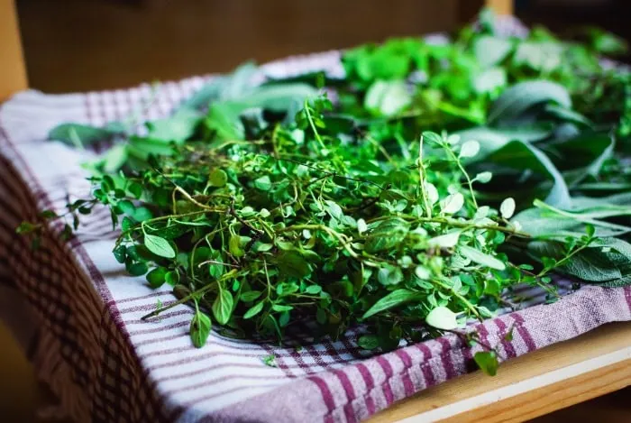 سبزی تازه برای قورمه سبزی سبزی تازه