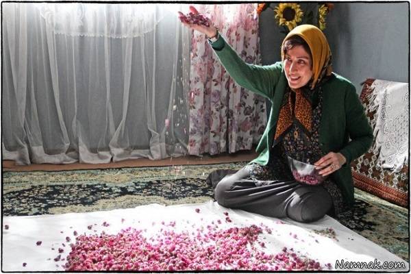 سی و پنجمین جشنواره فیلم فجر