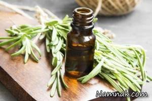 رزماری ، قبولی در امتحانات