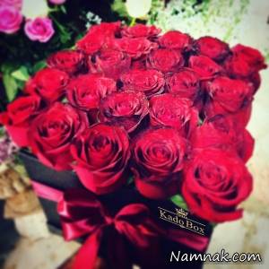 نماد گل ، زبان گل ها
