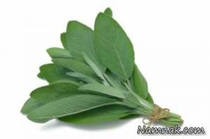 گیاه مرموک ، جویدن