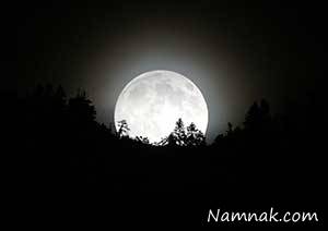 شب زنده داری ، شب بیداری