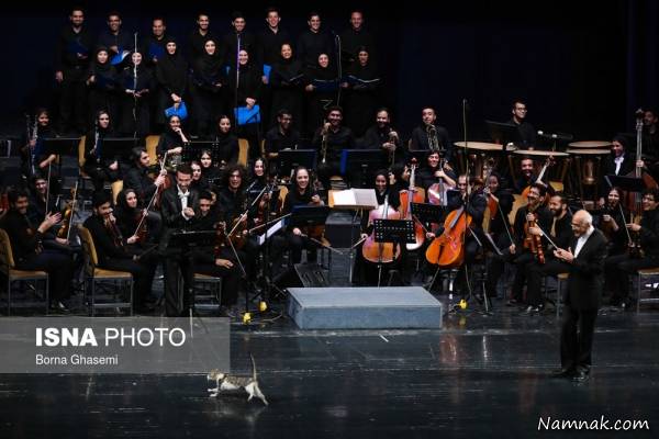 جشن خانه موسیقی در تالار وحدت