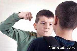 خشونت دانش آموزان ، خشونت دانش آموزان در مدرسه