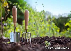 باغبانی در بهار ، نکات باغبانی
