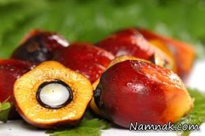 روغن پالم