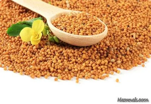 طرز تهیه سس خانگی سس خوش طعم