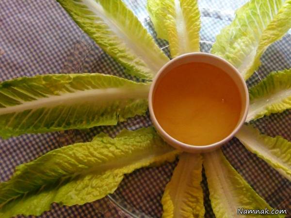 کاهو سکنجبین