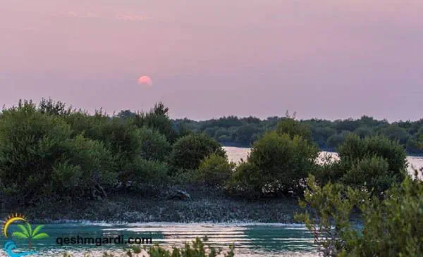 گردشگری قشم