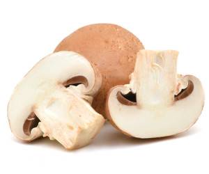 قارچ خوراکی