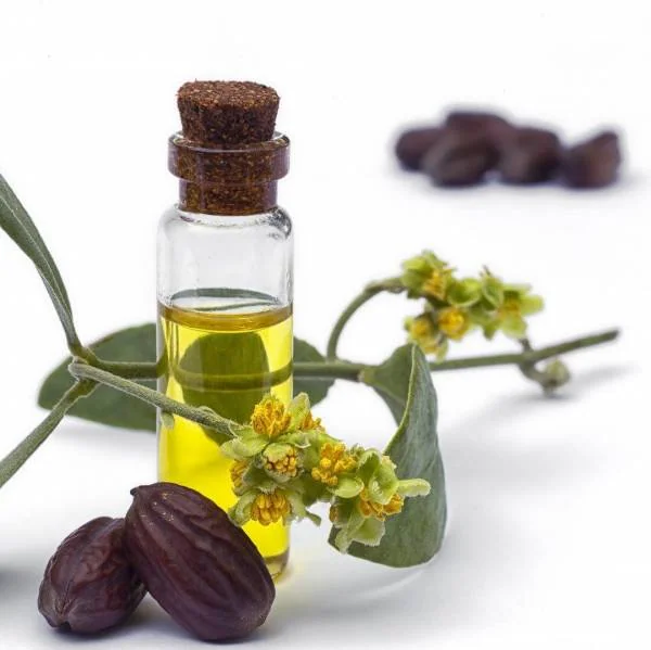 دانستنی های روغن جوجوبا روغن جوجوبا