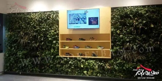 بام سبز دیوار سبز